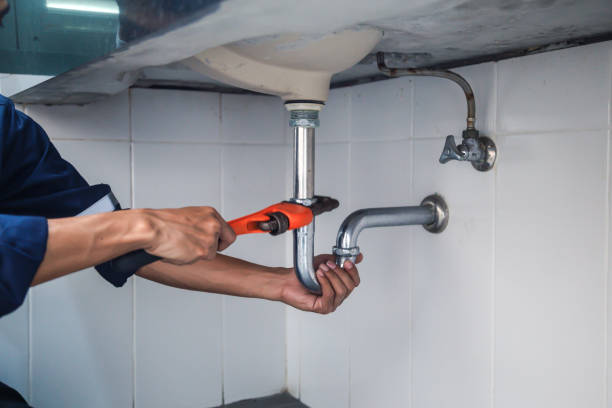 Best Clogged Drain Plumber  in Gastonville, PA